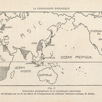 La Lymphangite épizootique. Fig. 1. Distribution géographique de la lymphangite épizootique