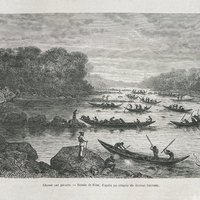 Chasse aux pécaris. D'après une photographie et un croquis du Docteur Crevaux