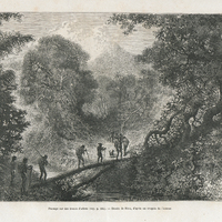 Passage sur des troncs d'arbres. D'après un croquis de l'auteur