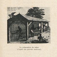 [La préparation du tabac ( d'après une gravure ancienne )]