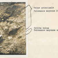 Veine principale et petite veine