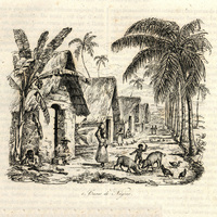 Cases de nègres