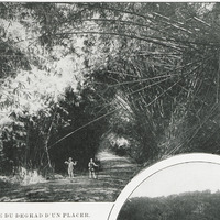 [Route du dégrad d'un placer]