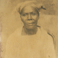 [795_Sambar Lucille]