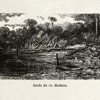Bords du rio Madeira