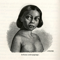 Indienne anthropophage
