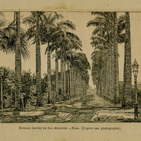 Estrada (route) de Sao Jéronymo a Para