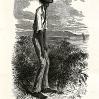 Portrait et tic de Polycarpe