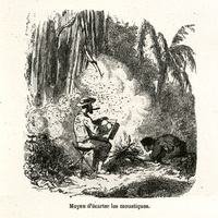Moyen d'écarter les moustiques