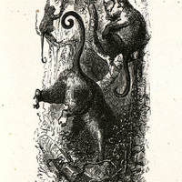 Les singes des bois