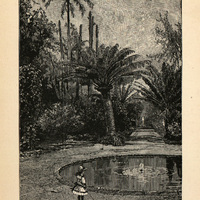 In the Jardin des plantes, St. Pierre