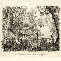 Campement dans les forêts de Guyane