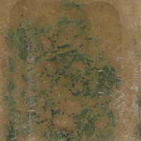 [456_Stanise Yvonne]