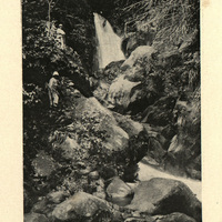 Cascade Vauchelet