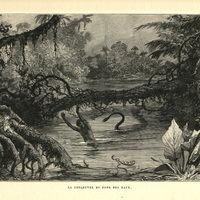 La couleuvre du fond des eaux