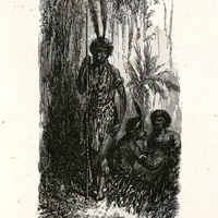 Indien arara