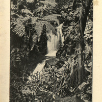 Ravine Roche