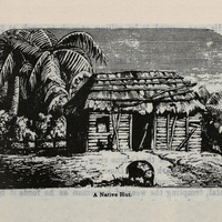 Native hut