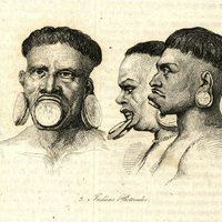 Indiens Botocudos